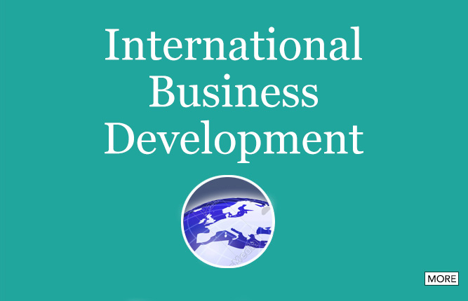 International business development